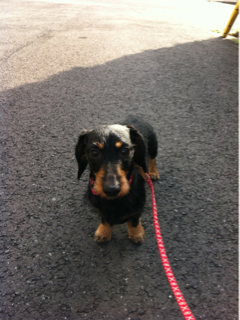 image-20120422171639.png