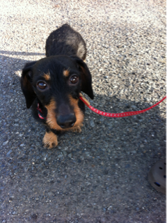 image-20120422171730.png