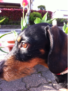 image-20120422171956.png