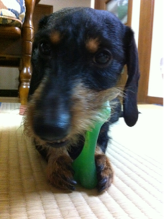 image-20120503160955.png