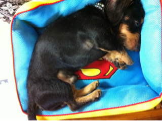 image-20120503161118.png
