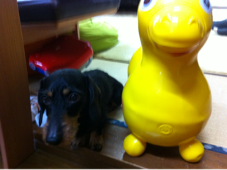 image-20120421102047.png
